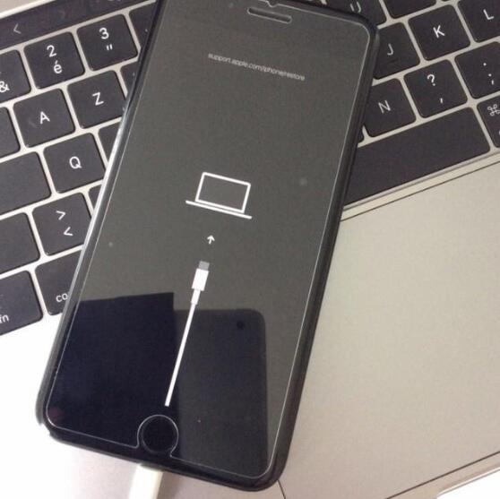 終于要用type c傳iPhone 11更換接口