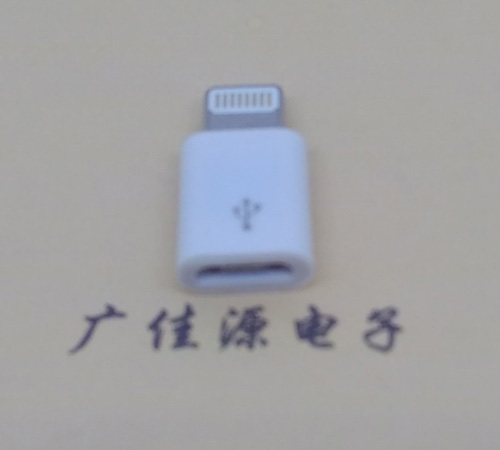 蘋果轉(zhuǎn)接頭