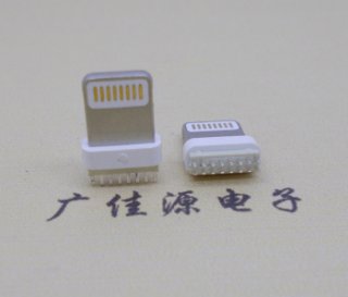 蘋果充電頭